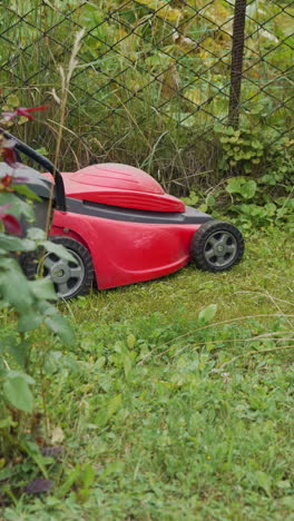 electric lawn mower cuts the grass. woman mowing lawn. vertical video