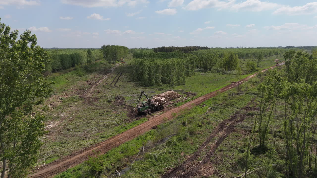 Aerial view of a forest undergoing deforestation with heavy machinery transporting logs. Environmental impact and forest exploitation.