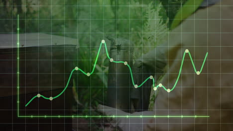 green line graph animation over person working with equipment in forest