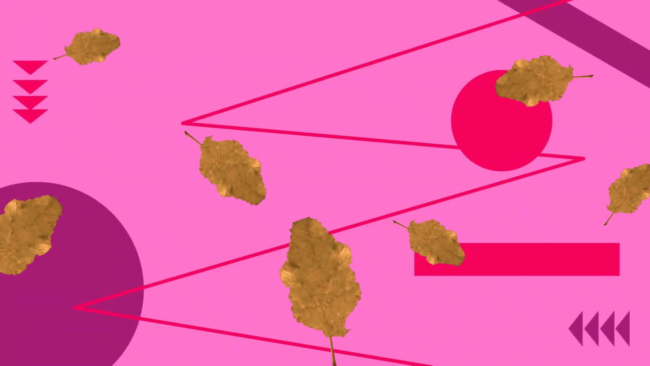 Animation of floating leaves and shapes on pink background