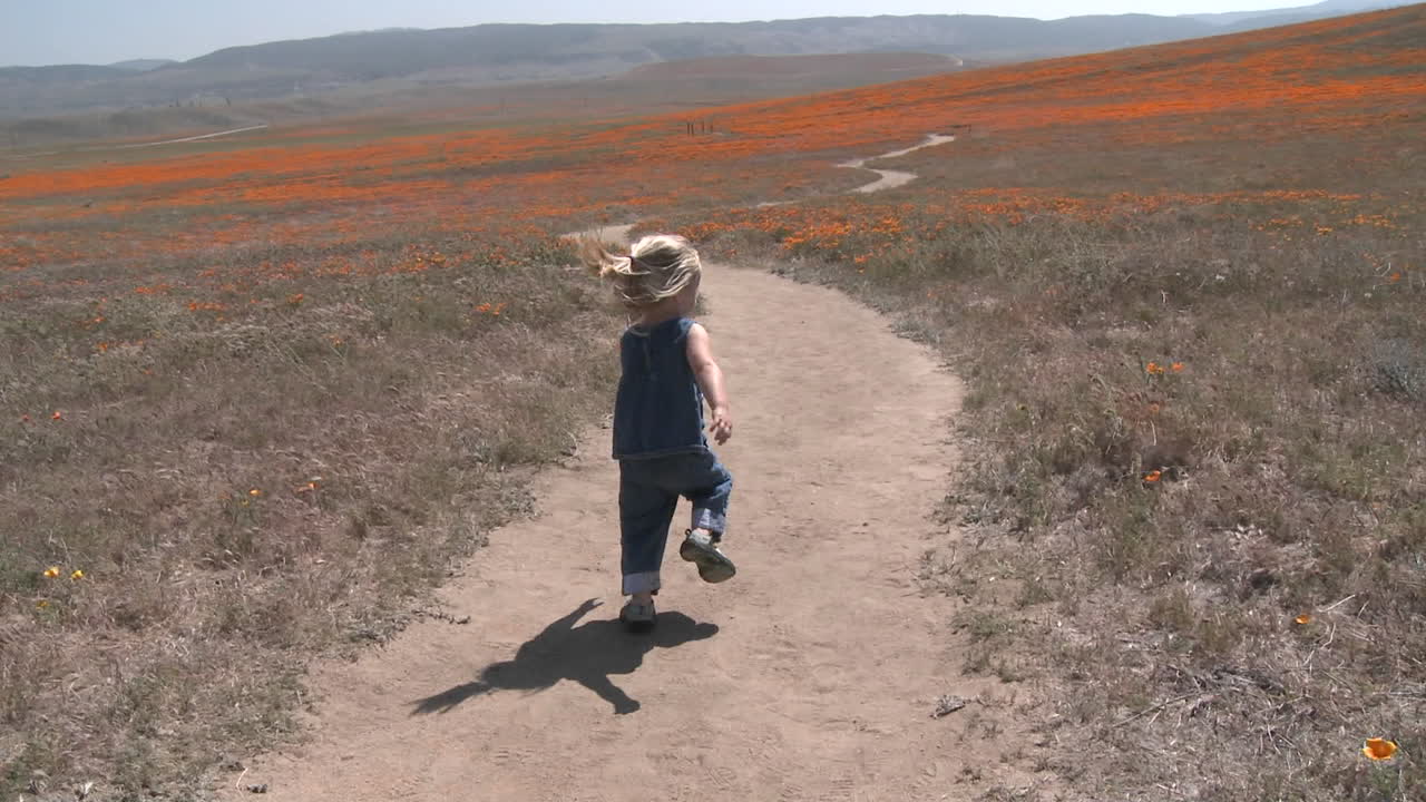 영양 계곡 양귀비 보호 구역 캘리포니아에서 꽃이 만발한 캘리포니아 양귀비 사이를 달리는 아이의 뒷모습