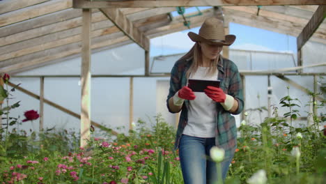 hermosa mujer florista camina a través del invernadero con una tableta de computadora comprueba las rosas cultivadas mantiene el seguimiento de la cosecha y comprueba la flor para clientes de negocios