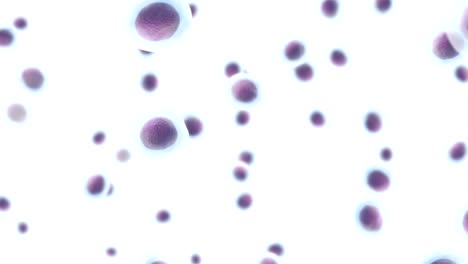 Human cells 3d loop. Science UHD animation