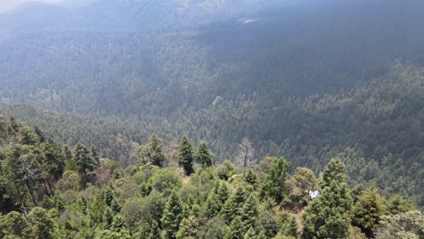 pull front above forest in middle of mountains