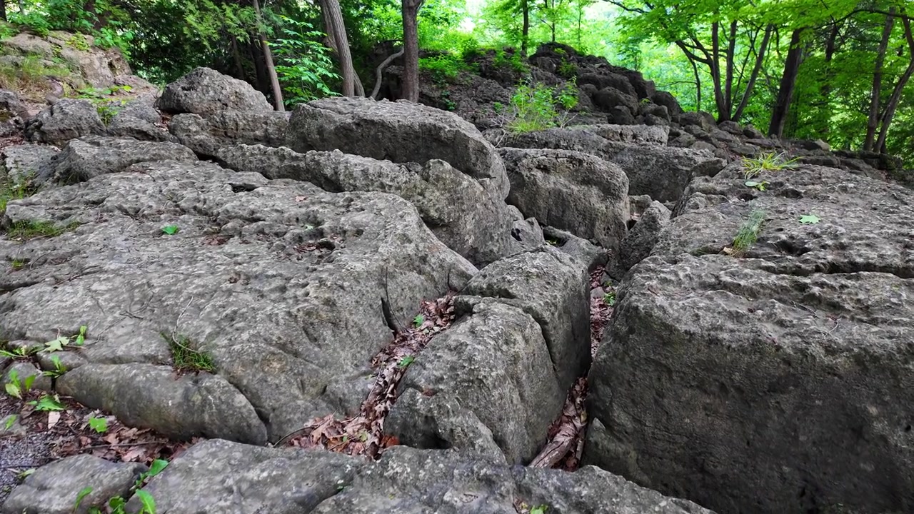 Rocky trail in Rattlesnake Point Conservation Area in Ontario, Canada