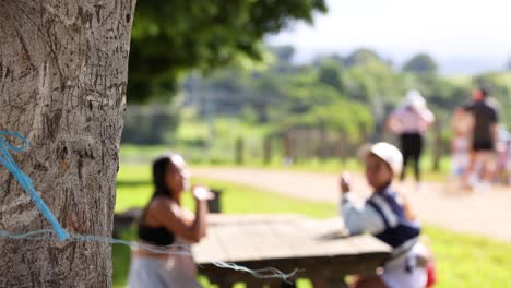 people enjoying a picnic in a park
