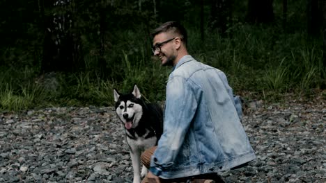 siberian husky funny dog in nature