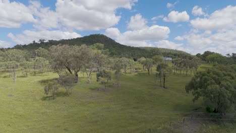 vegetación exuberante y montañas bajo un cielo azul