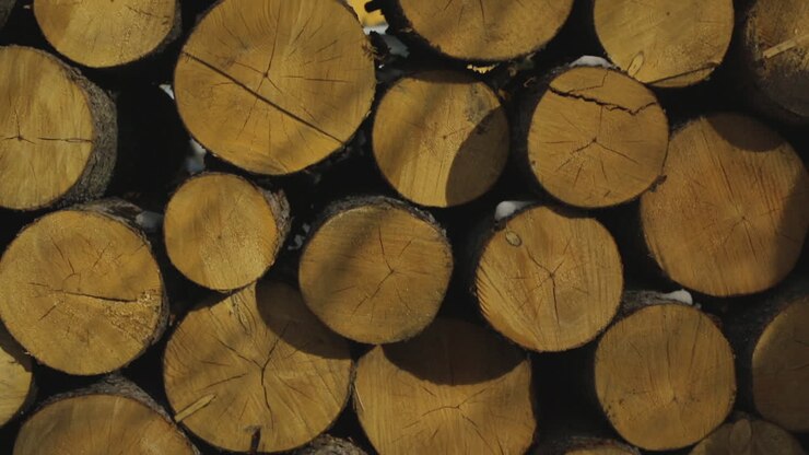 Chopped logs of wood are stacked atop one another