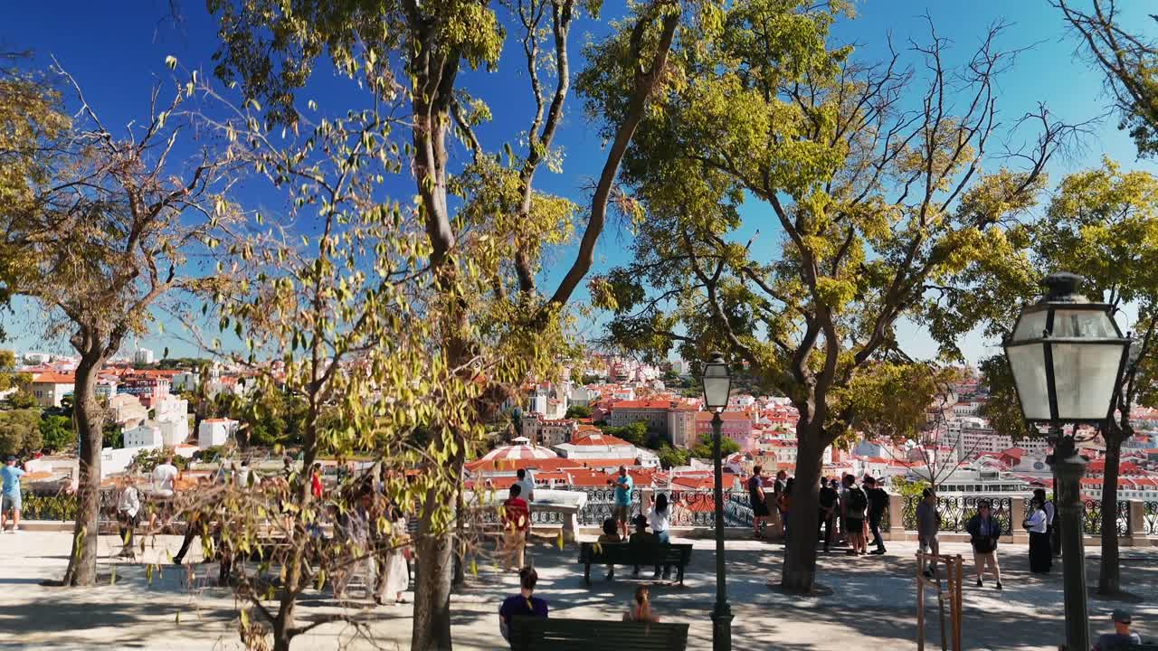 Cityscape View with Trees and Architecture