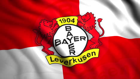 bayer leverkusen flag