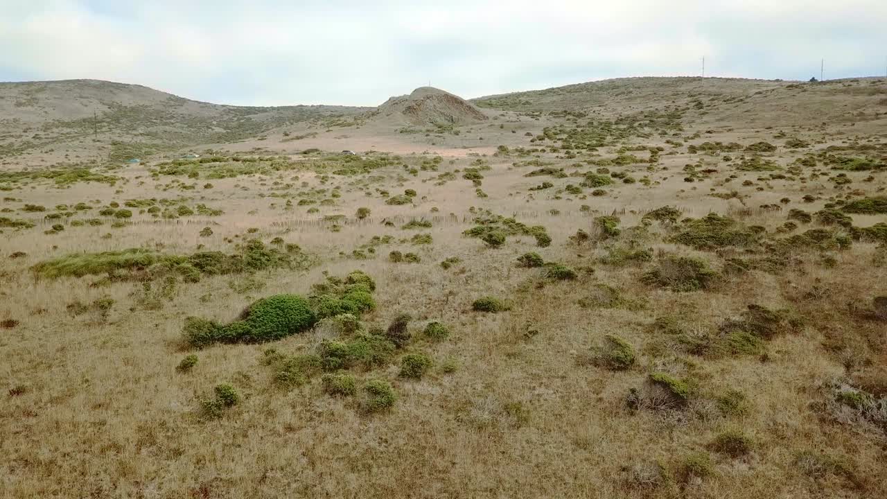 coches que pasan por el campo de la bahía de bodega