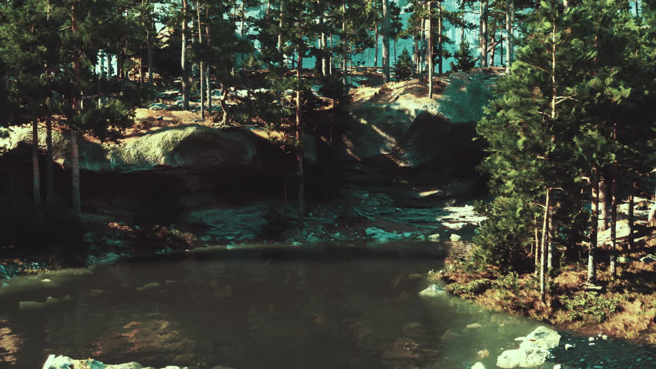 paisaje de bosque oscuro y río