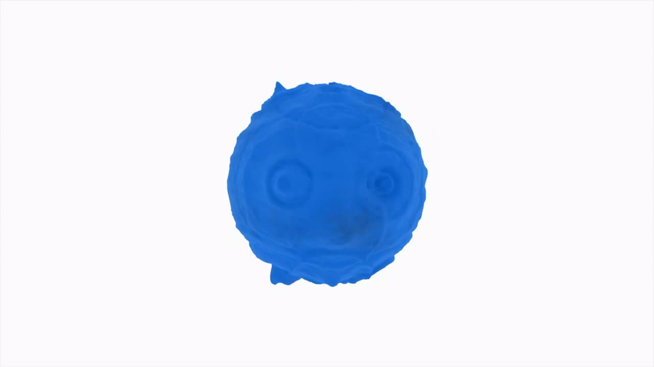 색 바탕에 있는 공의 표면에 있는 진동. 디자인: 3d 색의 공이 표면에서 회전하고 진동한다.