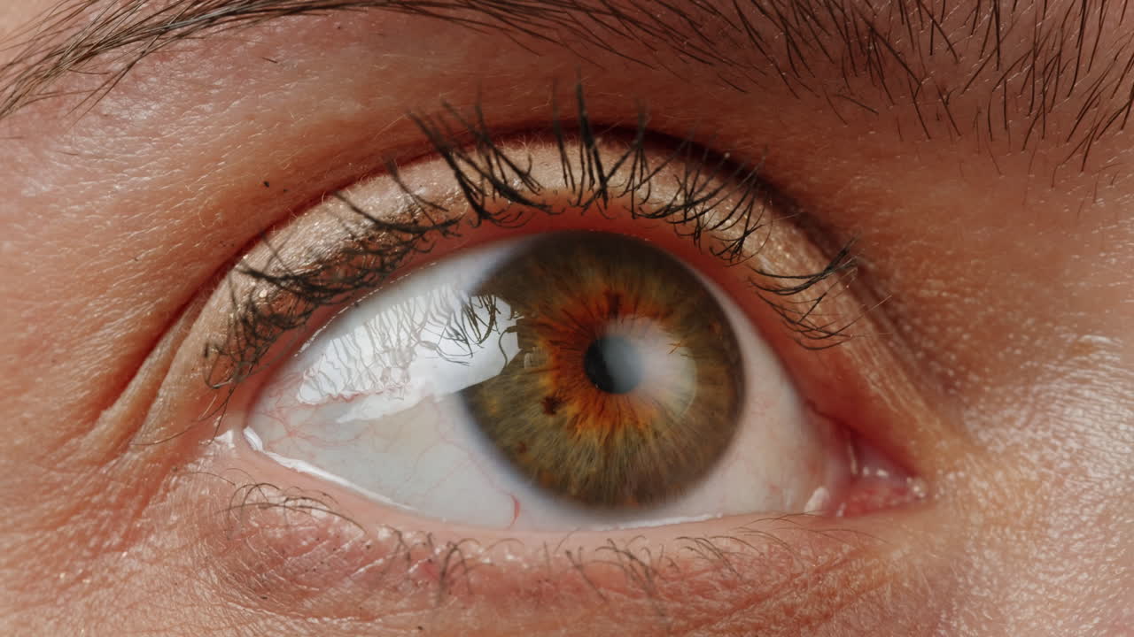 primer plano del ojo de una mujer.