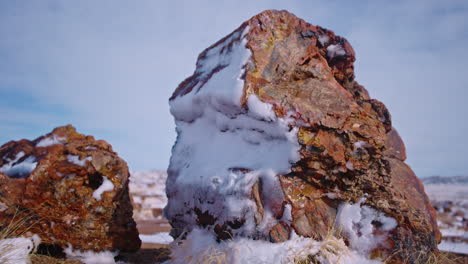 gimbal shot of petrified wood in the petrified forest