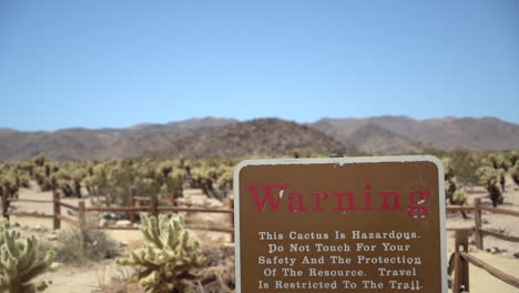 señal de advertencia, este cactus es peligroso, sendero del parque nacional joshua tree y paisaje desértico