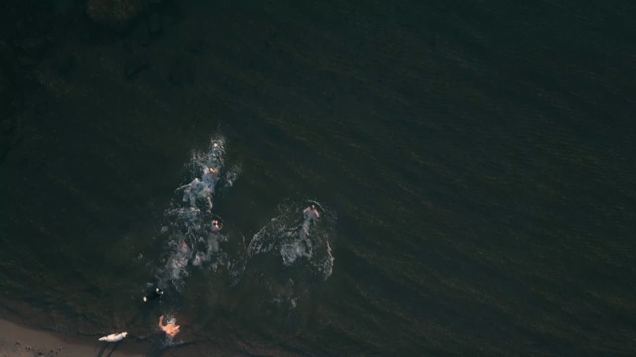 друзья бегут по песчаному пляжу к океану, ныряя в солнечный день.