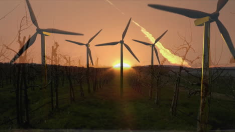 animación de turbinas eólicas sobre plantación y sol