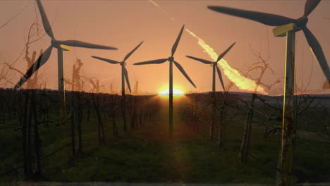 animation of wind turbines over plantation and sun