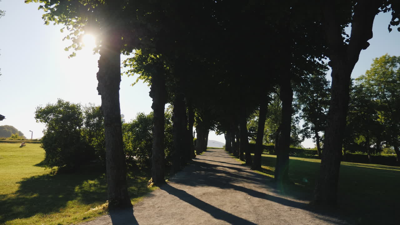 긴 그림자가 있는 나무의 골목을 따라 걷다