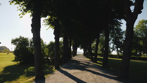 Caminar-Por-El-Callejón-De-árboles-Con-Largas-Sombras