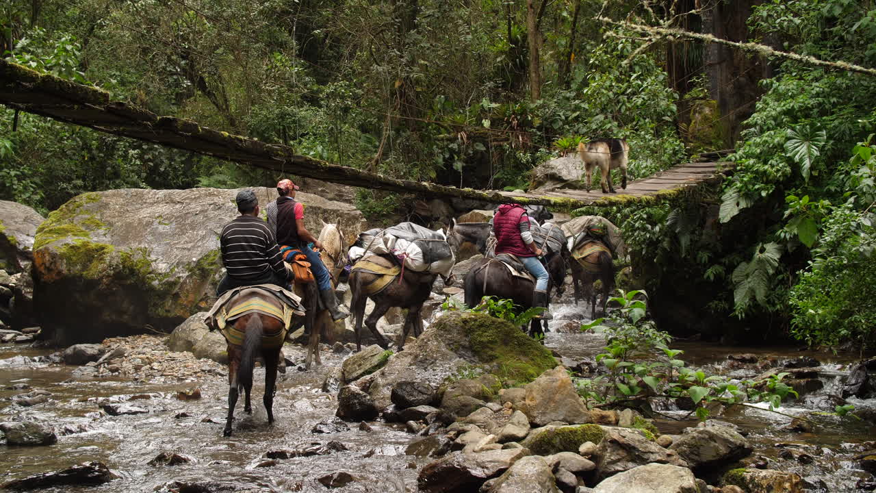 burros con provisiones cruzando el río con un perro pasando por un puente viejo a cámara lenta más corto