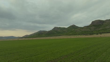 Toma-Aérea-Sobre-Campos-Agrícolas-Verdes-Con-Montañas-Al-Fondo,-Cielo-Nublado.