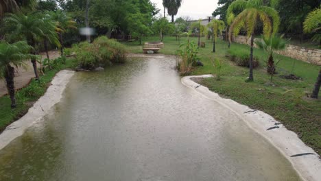 Rainy-day-in-a-lush-garden-in-Oaxaca,-Mexico-with-palm-trees-and-reflective-pond---Aerial-flyover