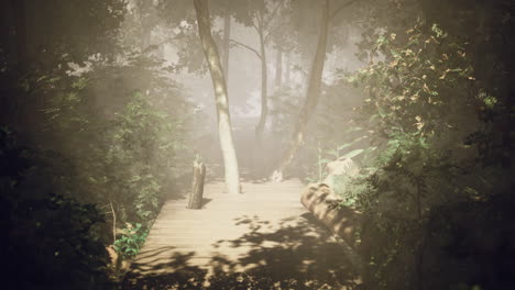 serene pathway through a misty forest leading to tranquil waters