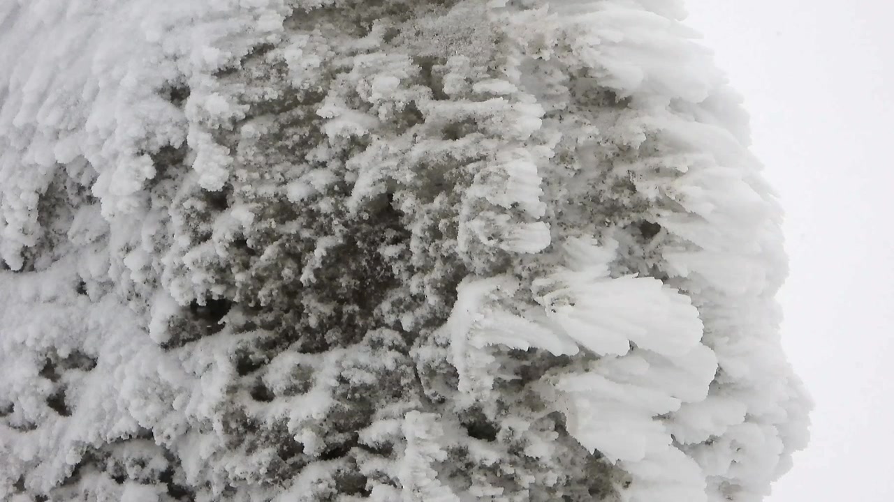 Primo piano di ghiaccio di brina che copre un ramo d'albero