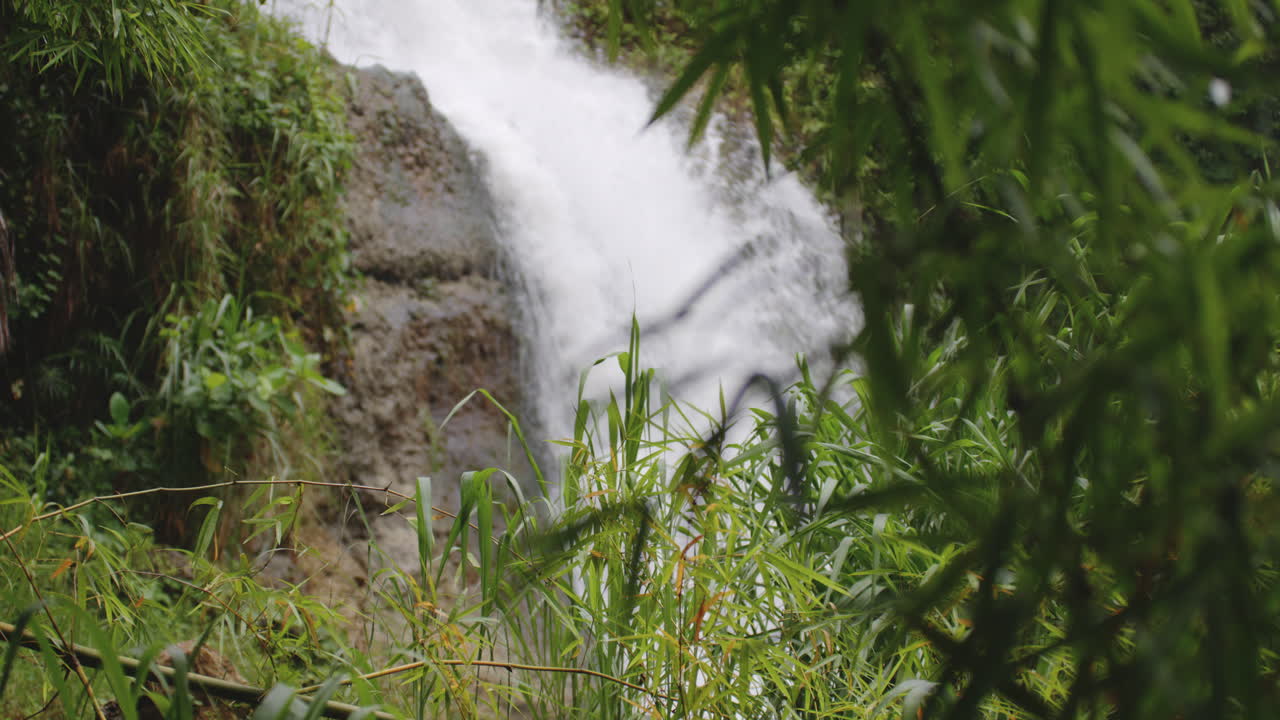 vista de cascadas de montaña detrás del follaje de bambú verde en primera cascada de la planta en tanamá, arecibo, puerto rico