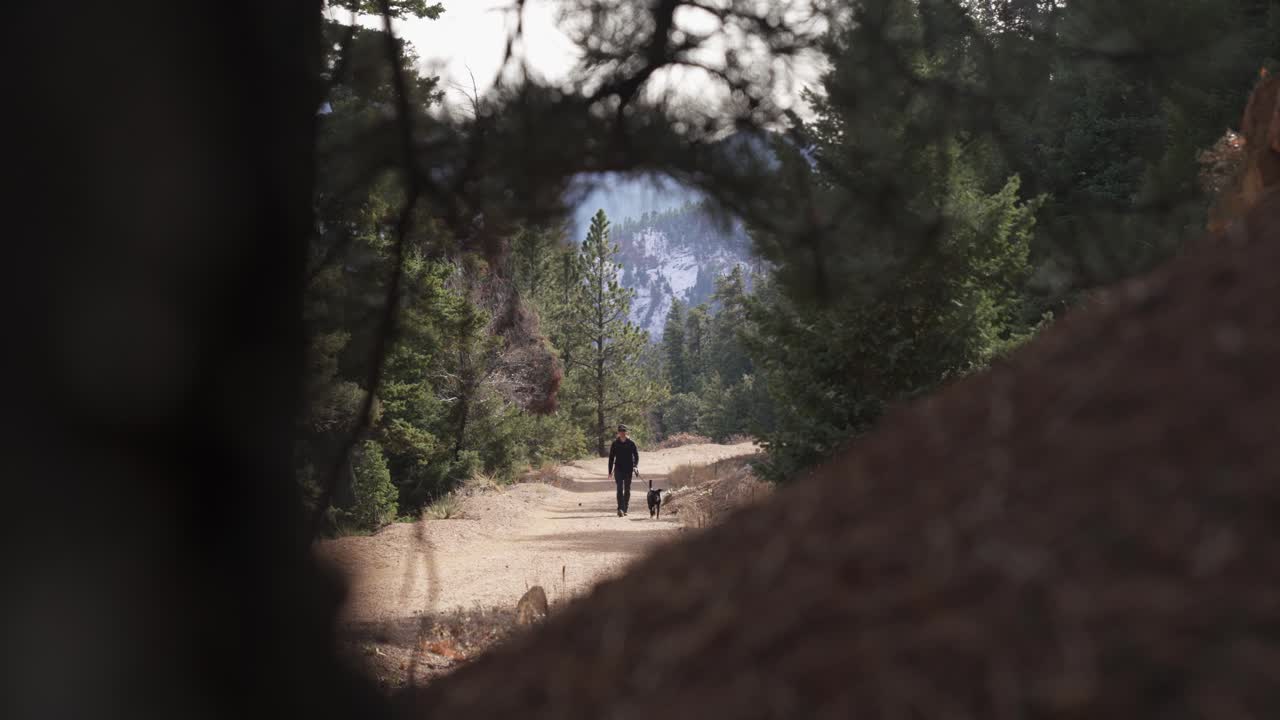 Tra gli alberi: escursionista uomo con cane al guinzaglio cammina lungo un sentiero forestale.
