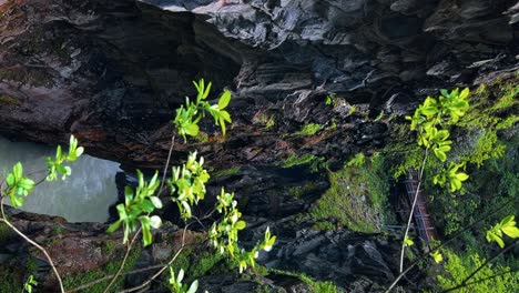 vertical - river flowing through rugged cliff with lush greenery in switzerland