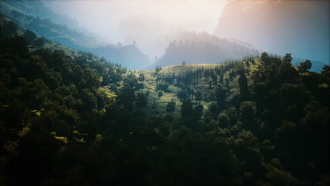 autumn-forest-on-green-rocky-hills