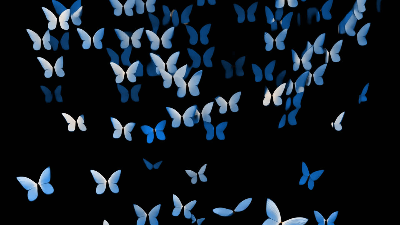 Blue butterflies animated overlay, transparent 4K video, alpha channel, ProRes 4444
