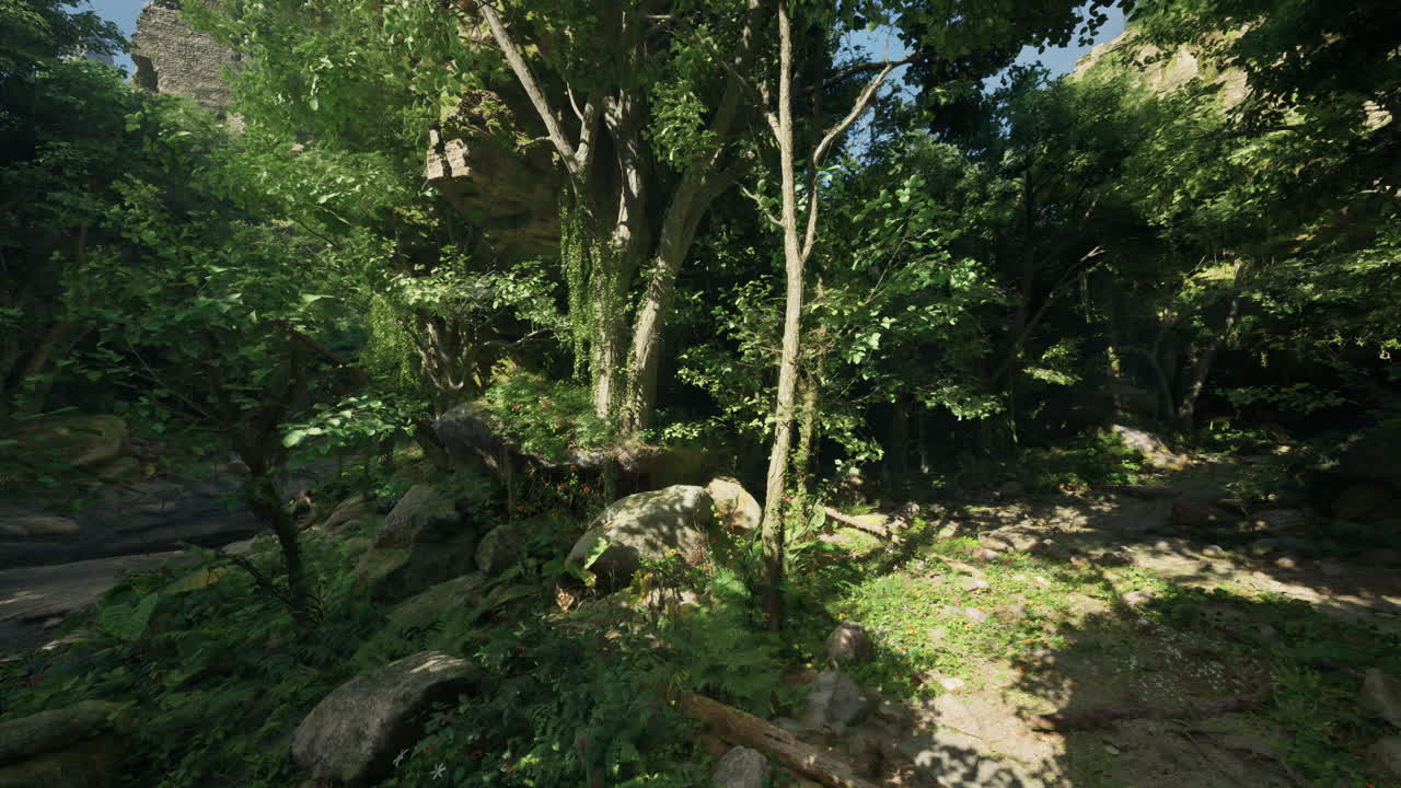 울창한 초록 숲과 강이 흐르고 있습니다.