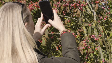 woman taking a picture of a tree with her phone