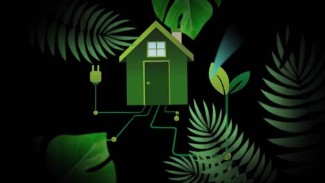 Animation-of-house-and-plug-over-tropical-plants