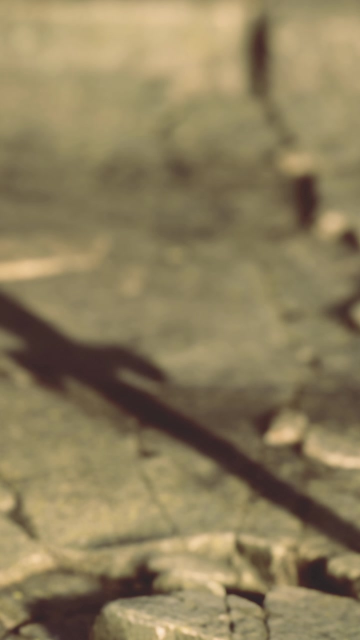 Sunlight casts shadows on cracked earth in a dry landscape during daytime