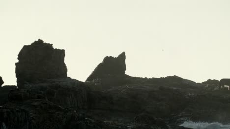 Meereswellen,-Die-Auf-Die-Felsen-Krachen,-Und-Möwen,-Die-Zur-Goldenen-Stunde-Fliegen