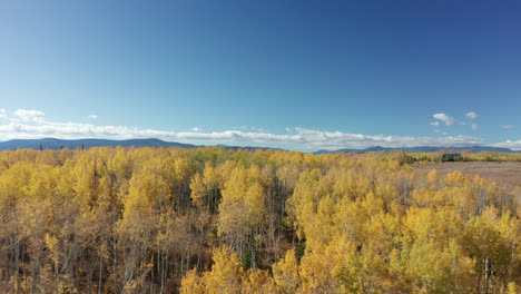 northern colorado drone footage of fall colors in the mountains