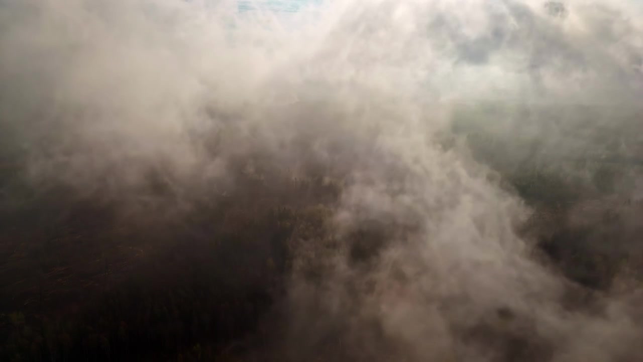 Ripresa aerea ascendente sopra un bosco denso tra le nuvole