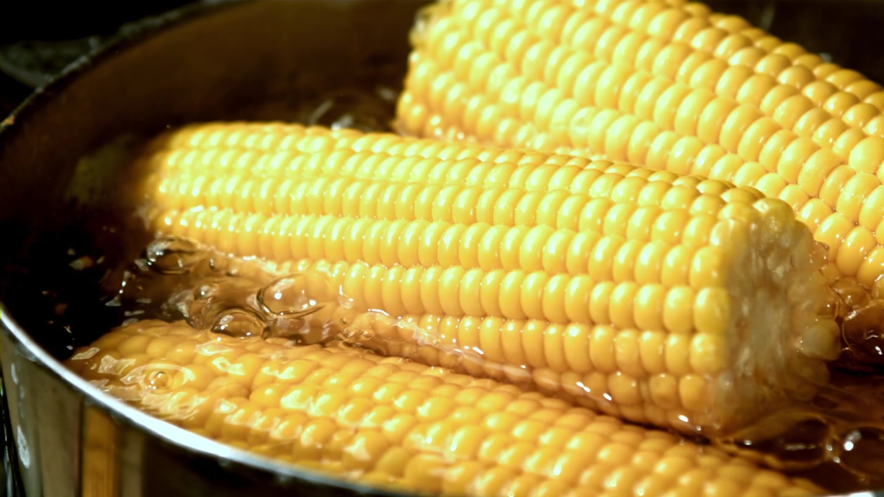 Golden Sweet Corn Cobs Boiling in Hot Water