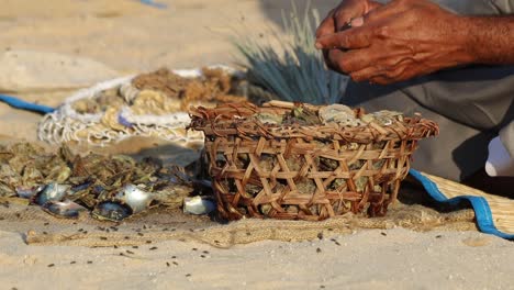 a view of hand opening oyster to find pearl