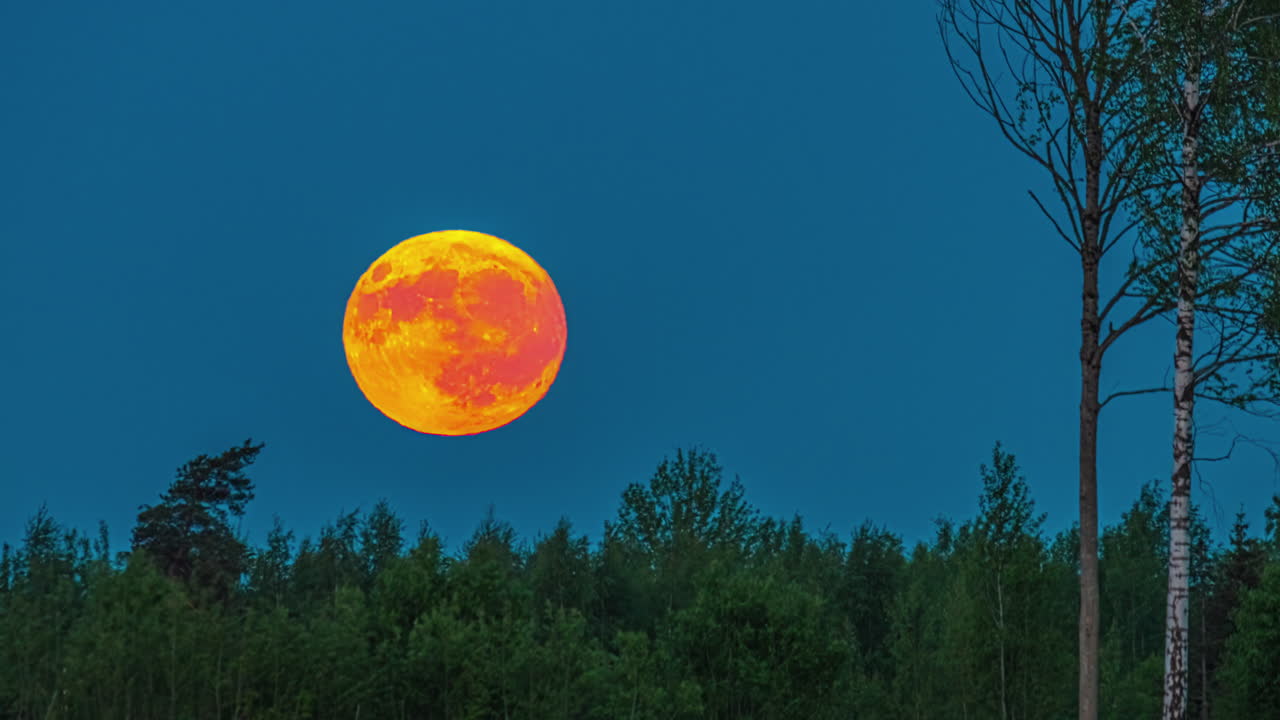 increíble súper luna naranja y roja descendiendo hacia el horizonte en el bosque