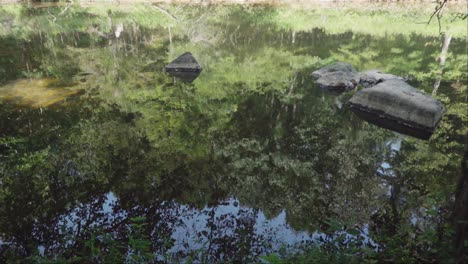 Eno-River-in-Durham,-NC,-reflecting-surrounding-canopy-of-trees