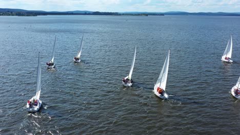 sailboats racing on a lake