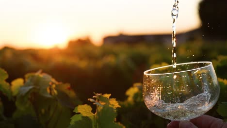 wine being poured into glass at sunset