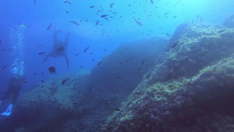 divers playing with the fishes and enjoying underwater in menorca island spain. underwarter